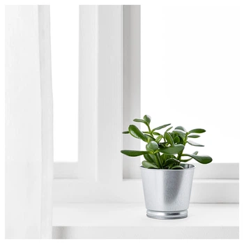 Цветочный горшок BINTJE IKEA 803.341.27