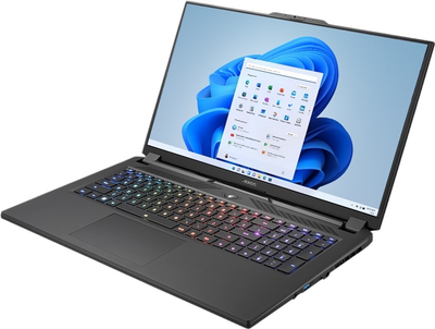 Laptop Gigabyte AORUS 17H 2023 (AORUS 17H BXF-74DE554SH) Black