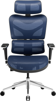 Fotel biurowy ergonomiczny Diablo Chairs V-Commander  Black-Blue (5904405577202)