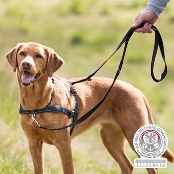 Szelki dla psów Trixie Training Harness Lead'n'Walk Soft treningowe czarne L-XL 65-105 cm (4011905130576)