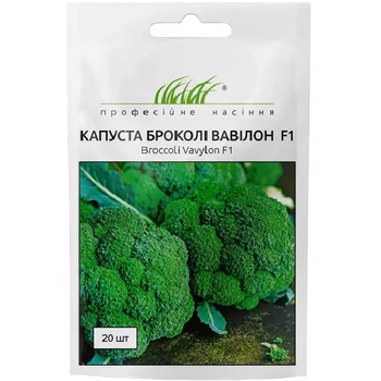 Капуста брокколи Вавилон F1 / 20 шт