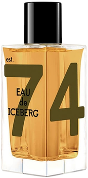 Туалетна вода для чоловіків Iceberg Eau de Iceberg Amber 100 мл (8002135146600)