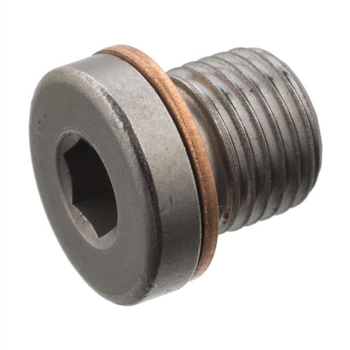 Пробка зливу мастила FEBI BILSTEIN 101020 Febi Bilstein (101020)