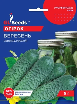 Семена Огурца Вересень GL Seeds 5 г