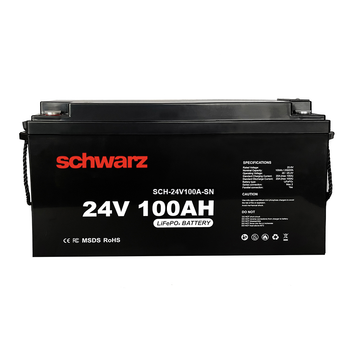 Аккумуляторная батарея Schwarz LiFePo4 24V 100Ah с экраном