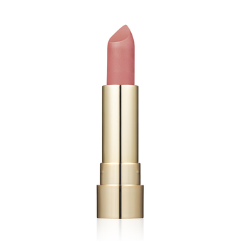Помада для губ матова ProHD Soft Matte TopFace тон 002 Everyday Favorite 4 г