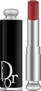 Помада для губ с многоразовым флаконом - Dior Addict Refillable Lipstick 250 - Dior Charm (981617-1208573207-2)