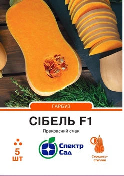 Тыква столовая Сибель F1 (2-3 кг) Clause/Франция 5 шт