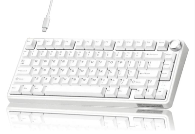 Клавиатура ROYAL KLUDGE R75 Белая Проводная Игровая Механическая, RGB Подсветка, С Поддержкой HOT-SWAP. Snow Royal Switch