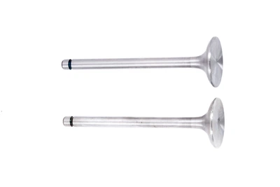 Клапани (пара, голі) м/б 195N (12Hp) XING MPARTS – купити онлайн