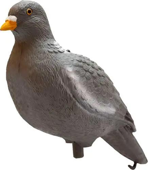 Підсадний голуб Birdland