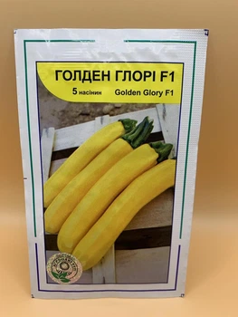 Насіння Syngenta кабачок Голден Глорі F1 5 нас