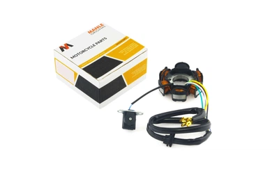 Статор генератора Active (5+1 катушка) MANLE