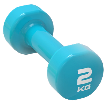 Гантель виниловая LivePro Studio Dumbbell 2 кг (LP8076-2) Blue