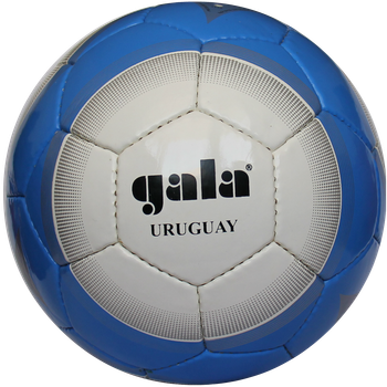 Мяч футбольный Gala Uruguay р. 5 (BF5153S)