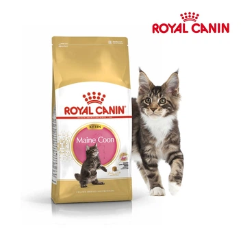 Cухий корм Royal Canin Maine Coon Kitten - для кошенят породи Мейн Кун до 15 місяців, 2 кг (2558020)
