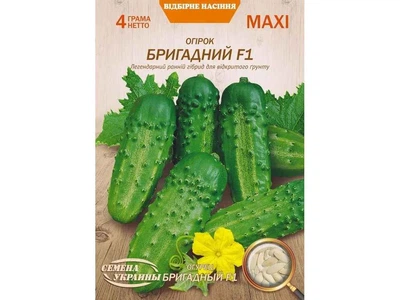 Огірок СЕМЕНА УКРАИНЫ (10 пачок) Максі "БРИГАДНИЙ F1" 4г (сс)