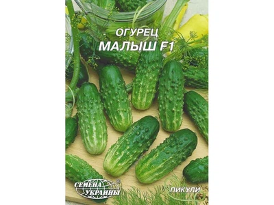 Огірок СЕМЕНА УКРАИНЫ (10 пачок) Гігант "Малыш F1" (гібрид) 4 г