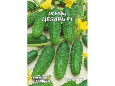 Огірок СЕМЕНА УКРАИНЫ (10 пачок) Гігант "Цезарь F1"(гібрид) 4 г