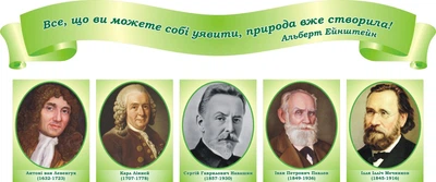 Набір з 5-ти стендів для кабінету біології зелений для школи ліцею гімназії (Арт0178)
