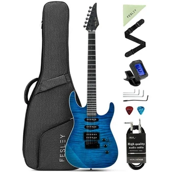 Электрогитара Fesley FDK800 BL (комплект)