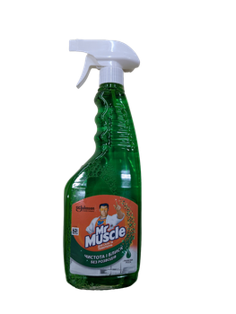 Спрей для миття скла Mr. Muscle Зелений 500 мл (4823002000153)