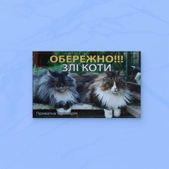 Табличка-128 коти «Обережно, злі коти» 20х12 см