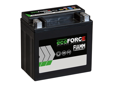 FIAMM Акумуляторна батарея 12A