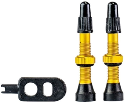 Набір ніпелів для коліс Trezado Tubeless MTB Trezado Presta 42 мм Gold (5903111053161)