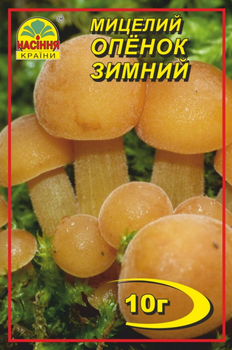 Міцелій (зерновий) Опеньок зимовий, 10 г (Насіння країни)
