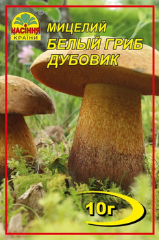 Мицелий (зерновой) Белый гриб Дубовик, 10 г (Насіння країни)