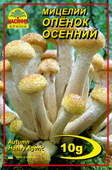 Міцелій (зерновий) Опеньок осінній, 10 г (Насіння країни)