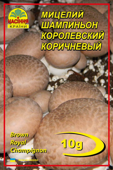 Міцелій (зерновий) Шампіньйон Королівський коричневий, 10 г (Насіння країни)