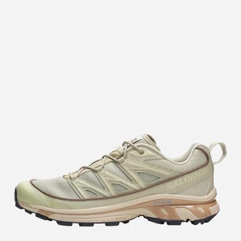 Кроссовки Salomon XT-6 Expanse L47445600 46 (29.5 см)