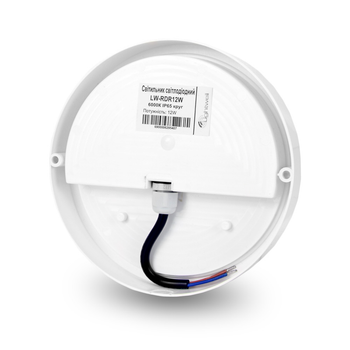 Світильник світлодіодний Lightwell LW-RDR12W 12Вт 6000К IP65 (266149)