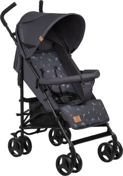 Прогулянкова коляска Lionelo Elia Grey white (LO-ELIA GREY WHITE)