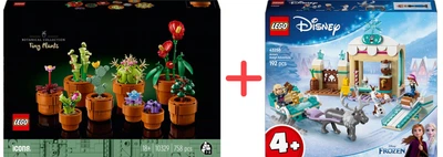 Набор конструкторов LEGO Botanicals Миниатюрные растения 758 деталей + Disney Приключения Анны на санях 192 детали (10329_43256)