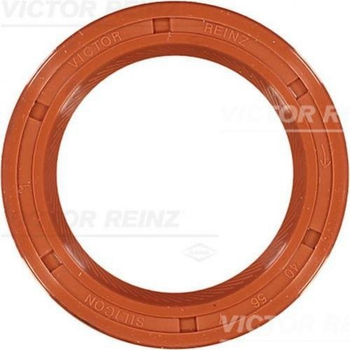 Ущільнююче кільце VICTOR REINZ (812108720)