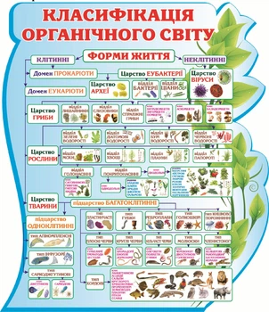 Пластиковий стенд «Класифікація органічного світу» 750мм×860мм (Арт1065)