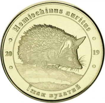 Медаль Украина 1 злотник 2019 «Красная книга Украины Ушастый ёж (Hemiechinus auritus)» UNC
