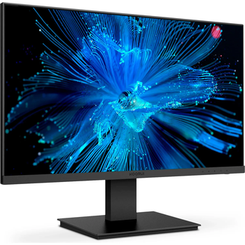 Монитор KOORUI P01 Business [101050]