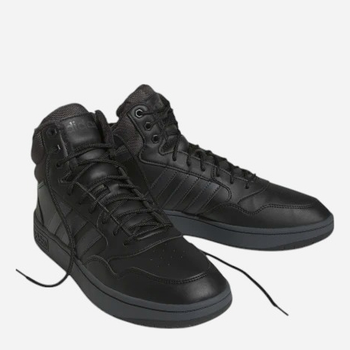 Зимові черевики Hoops 3.0 Mid WTR