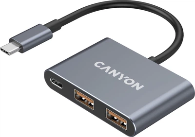 USB-hub Canyon DS-3 3in1 USB-C Dark Grey (CNS-TDS3)