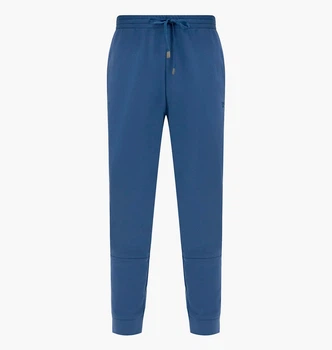 Штаны Arena Unbrushed Cuff Pant Blue 007690-540 L