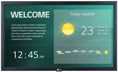 Монитор 21.5" LG 22SM3G