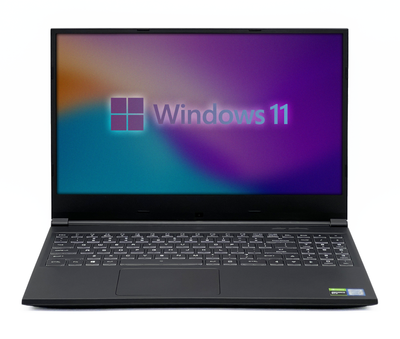 Ноутбук EVOO Gaming EG-LP4-BK / 15 IPS 1920x1080 144Гц / i7-9750H / 16 GB / 480 GB / NVIDIA GeForce GTX 1650 / [VGMNGGLP4BKI7165048016IAM] - Б/У