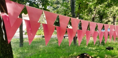 Гірлянда з рожевих тканинних прапорців 10 м