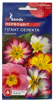 Насіння квітів Першоцвіт Гігант Селекту 0,1г, GL Seeds