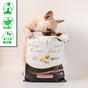 Сухой корм для собак средних и крупных пород Morando MioCane Sensitive Monoprotein лосось 3 кг (8007520080392)