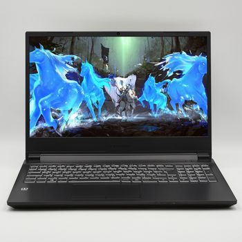 Ігровий ноутбук 15,6" Medion (Lenovo Group) Erazer Crawler E25 AMD Ryzen 5 5600H RAM 32 ГБ SSD 1 ТБ Nvidia GeForce RTX 3050Ti, 4 ГБ б/в (3406)